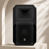 Electro-Voice EVIVA 15P